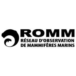 Nouveau-projet-3.png
